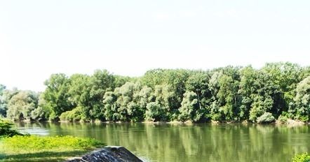 drava-part.jpg